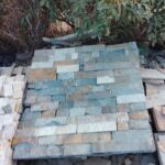 WhatsApp Image 2026-01-30 at 8.07.37 AM