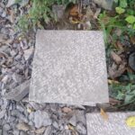 WhatsApp Image 2026-01-30 at 8.12.43 AM (3)