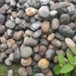 WhatsApp Image 2026-01-30 at 8.19.46 AM (1)