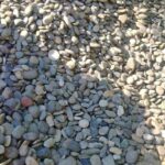 WhatsApp Image 2026-01-30 at 8.19.46 AM