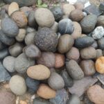 WhatsApp Image 2026-01-30 at 8.19.46 AM (3)