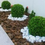 WhatsApp Image 2026-01-30 at 8.19.47 AM